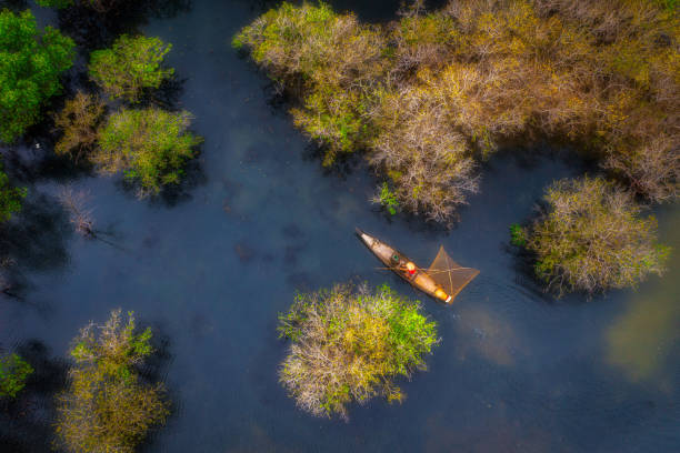 istock Drone view fisherman in Ru Cha forest 1431972404