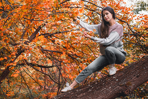 A brown haired girl in a sweater and jeans touches a branch with red autumn leaves. The concept of unity with nature.