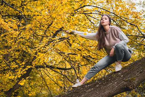 A brown haired girl in a sweater and jeans touches a branch with yellow autumn leaves. The concept of unity with nature.