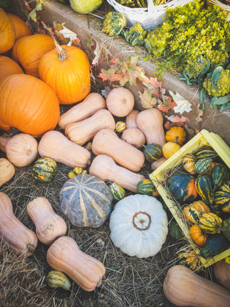 istock ripe vegetables and pumpkins at the vegetable fair 1431975692