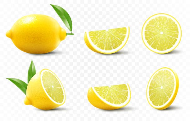 ilustrações de stock, clip art, desenhos animados e ícones de a set of fresh lemon isolated on transparent background. a whole lemon, half and slice a lemon. realistic 3d vector illustration. fully editable handmade mesh. - lemon