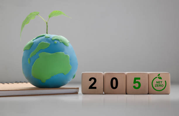 istock Net zero by 2050. Net zero greenhouse gas emissions target. Climate neutral long term strategy. Earth planet with 2050 objective for climate, the wooden cubes with green net zero icon. 1431981748