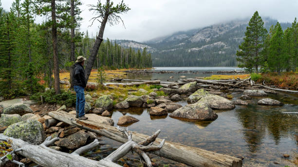 Looking from a log bridge man see lake and Idaho mountains