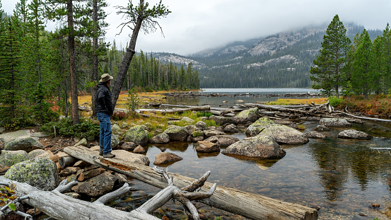 Man enjoys the view of the Idaho wilderness from a log crossing