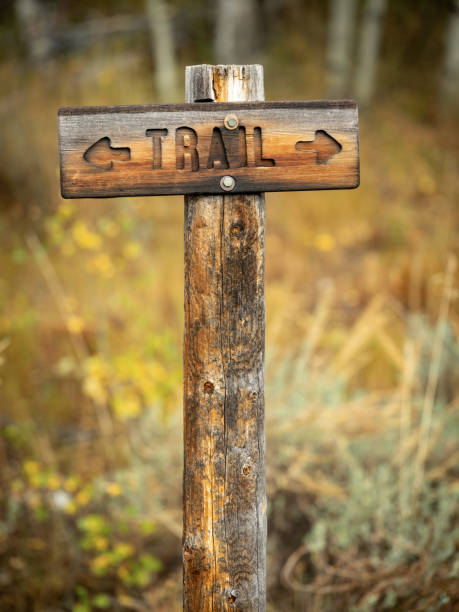 istock Wood trail sign with autumn colors in a forest 1431982166