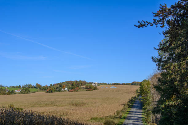 istock fall colors in the Canadian countryside 1431983310
