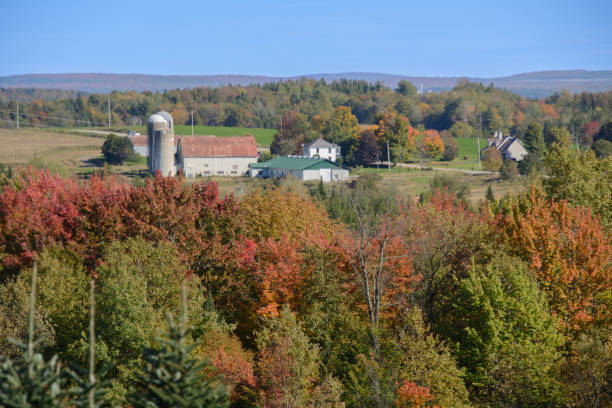 istock fall colors in the Canadian countryside 1431983326