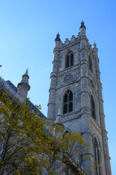 istock Notre-Dame church, Montreal, Canada 1431983487