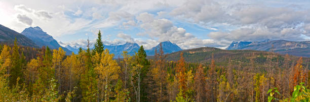 istock Jasper National Park Of Canada 1431984603