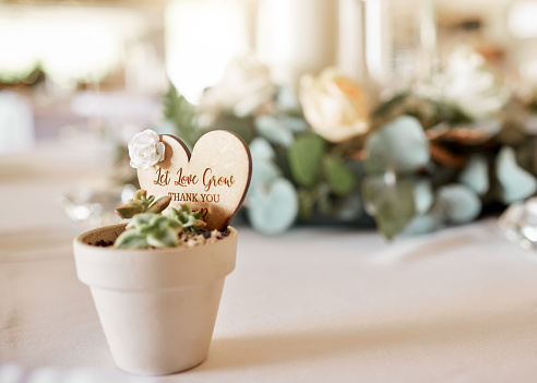 Wedding favors, gift plants and cactus flowers at marriage reception, table and celebration. Background thank you sign floral present to celebrate love, growth and commitment at creative party events