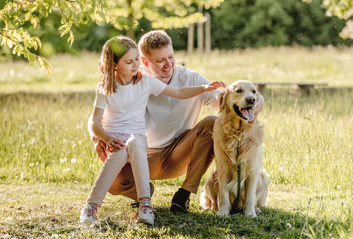 Dad and his daugter play with golden retriver dog