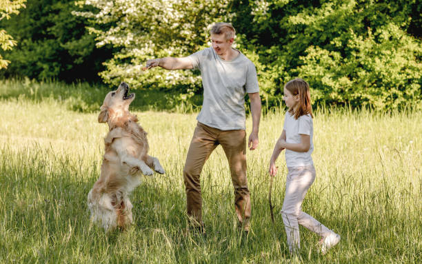 istock Dad and his daugter play with dog 1431989889