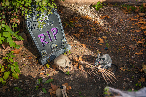 The head of a skeleton is next to a tombstone with the inscription R.I.P. and a hand bone sticks out of the brown earth with autumn leaves. Decorated front yard for Halloween. Sunny autumn day. October 23, 2017. NYC. Brooklyn. Bay Ridge. New York. USA