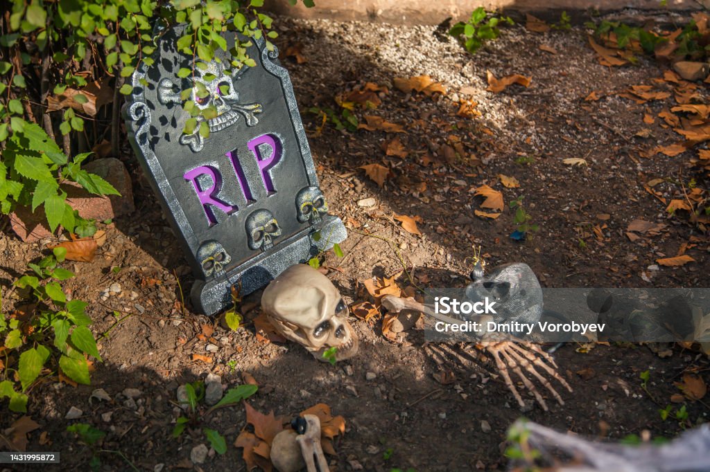 Halloween Graveyard Decorations stock photo The head of a skeleton is next to a tombstone with the inscription R.I.P. and a hand bone sticks out of the brown earth with autumn leaves. Decorated front yard for Halloween. Sunny autumn day. October 23, 2017. NYC. Brooklyn. Bay Ridge. New York. USA Human Skeleton Stock Photo