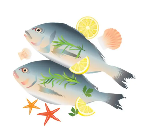 Vector illustration of fish