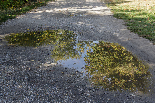 Turin, Piedmont, Italy - October 3, 2022: Foliage reflecting in a puddle in a public park.