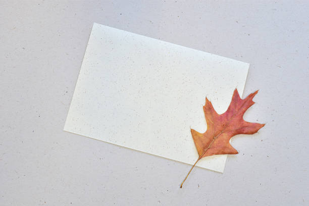 Greeting card decorated with colorful autumn oak leaf, recycled beige paper natural fibres, flat lay view from above, copy space for text.