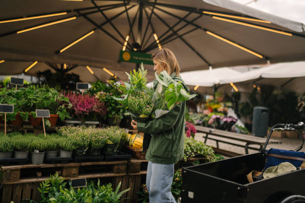 istock Buying houseplants 1432001058