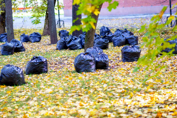 istock Lots of full black garbage bags in the fall park 1432005518