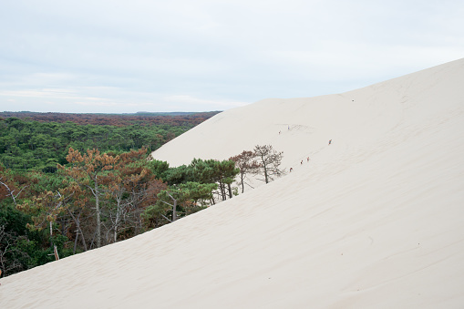 Beautiful dune at Pilat, France. Unrecognizable people in the background comming up the slope