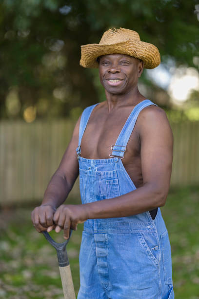 istock Labourer in the garden with his shovel 1432008665