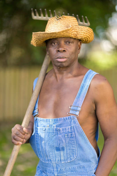 istock Labourer in the garden with his rake 1432008789