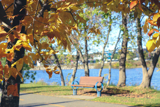 istock Admiring the colourful leaves in the park 1432009850