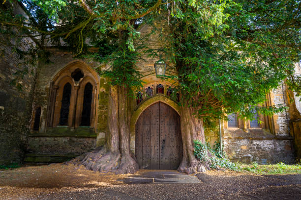 guarde na igreja de st. edward porta de árvore mágica yew no cotswolds uk - st edwards crown - fotografias e filmes do acervo