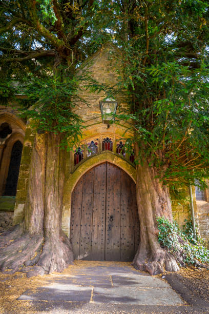guarde na igreja de st. edward porta de árvore mágica yew no cotswolds uk - st edwards crown - fotografias e filmes do acervo