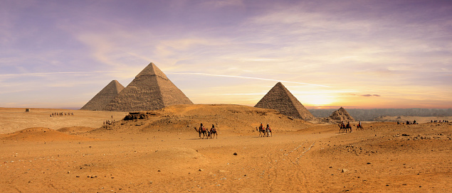 Camels with a local Bedouin walk through desert near the Great Pyramid of Khufu in Giza near Cairo, Egypt.