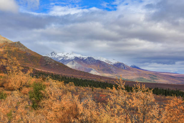 istock Scenic Viewpoint of Denali National Park Alaska 1432016379