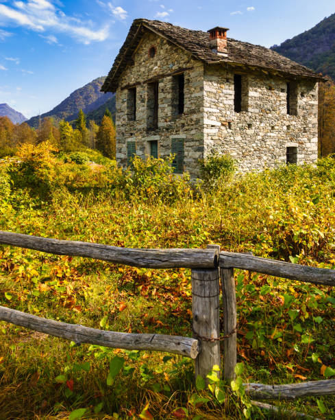 istock woods of Valsesia. Piedmont 1432017104