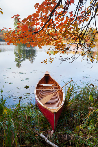 Red wooden canoe on calm lake with maple branches above during autumn