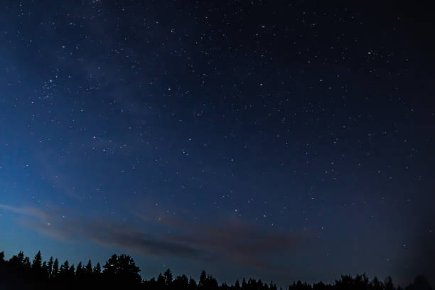 istock Night starry sky over forest. Tree silhouettes against  backdrop of stars. 1432019900