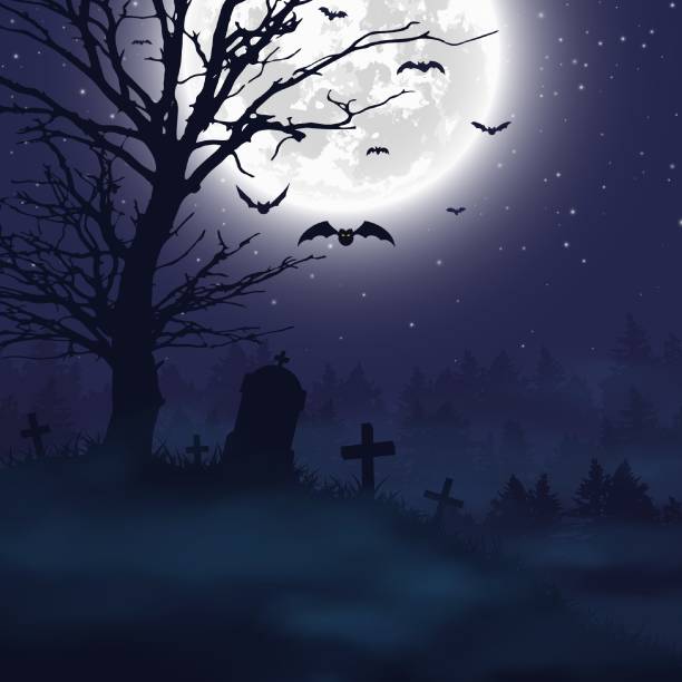 240+ Halloween Background Foggy Night Scary Forest Stock Illustrations ...