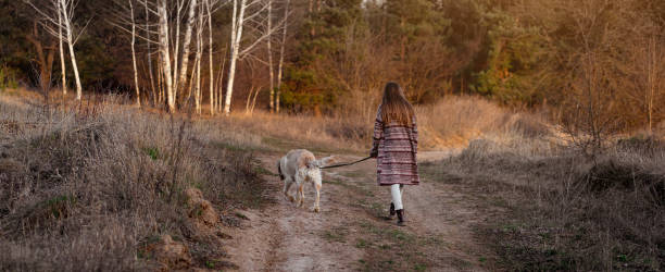 istock Girl walking with dog at sunset 1432023246