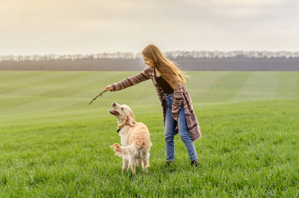 istock Girl playing with retriever in nature 1432023915