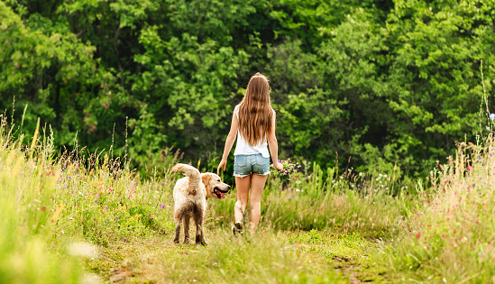 Back view of girl walking dog in summer nature