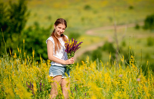 Young girl collecting wild flowers on blooming summer field