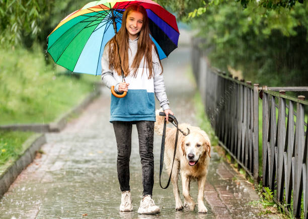 istock Young girl walking under rain with dog 1432024714