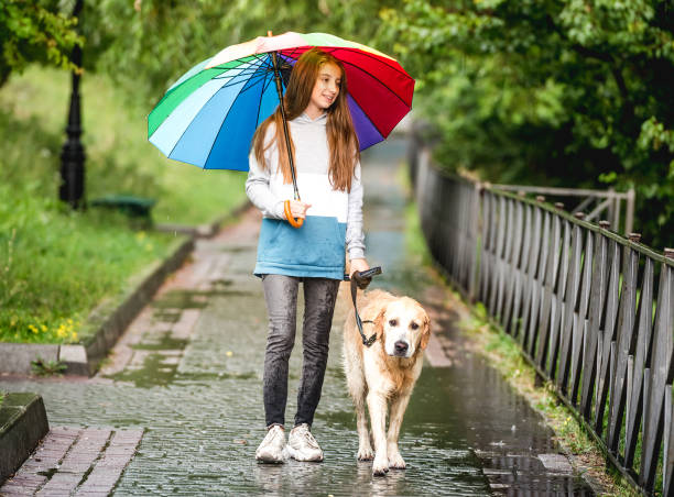 istock Girl walking with dog at rainy day 1432024720