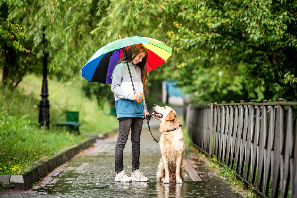 istock Young girl walking under rain with dog 1432024724