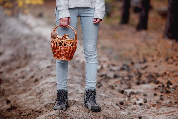 istock Young girl holding basket with mushrooms 1432025952