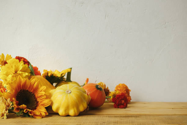 atmospheric autumn still life. colorful autumn flowers, pumpkins, pattypan squashes on wooden table against rustic background. seasons greeting card, space for text. happy thanksgiving! - pattypan squash imagens e fotografias de stock