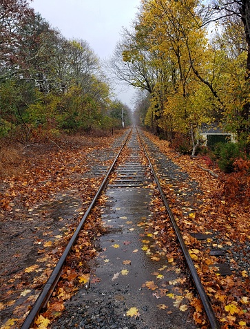 I took my chances standing in the middle of the these running New England based train tracks on a rainy day in November for a chance to photograph this glorious perspective. I turned around in the other direction too. Lol. This was about a year before I learned I had Adult ADHD; 