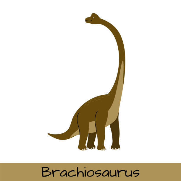 ilustraciones, imágenes clip art, dibujos animados e iconos de stock de ilustración vectorial de dinosaurios - braciosauro
