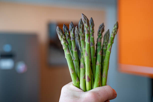 istock Holding a Bunch of Asparagus 1432035913