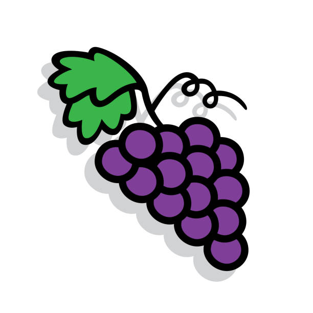 ilustrações de stock, clip art, desenhos animados e ícones de grapes doodle 7 - grape bunch fruit stem