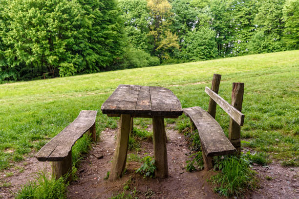 Wooden table and bench in the beautiful park