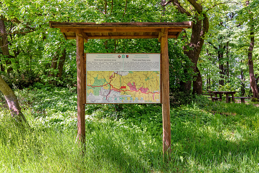 London, UK - Aug 04, 2020: Wooden signpost on chalk cliffs near Seven Sisters Country Park, Eastbourne, East Sussex, England